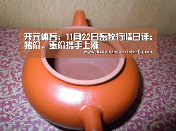 开元体育:11月22日畜牧行情日评:猪价、蛋价携手上涨(图2) 开元体育