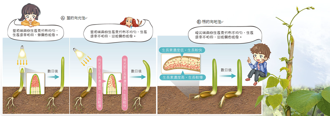 花生蔓越莓牛轧糖的做法_花生蔓越莓牛轧糖怎么做_ 顾小白~痴的菜谱‘开元赛事’(图1) 开元体育