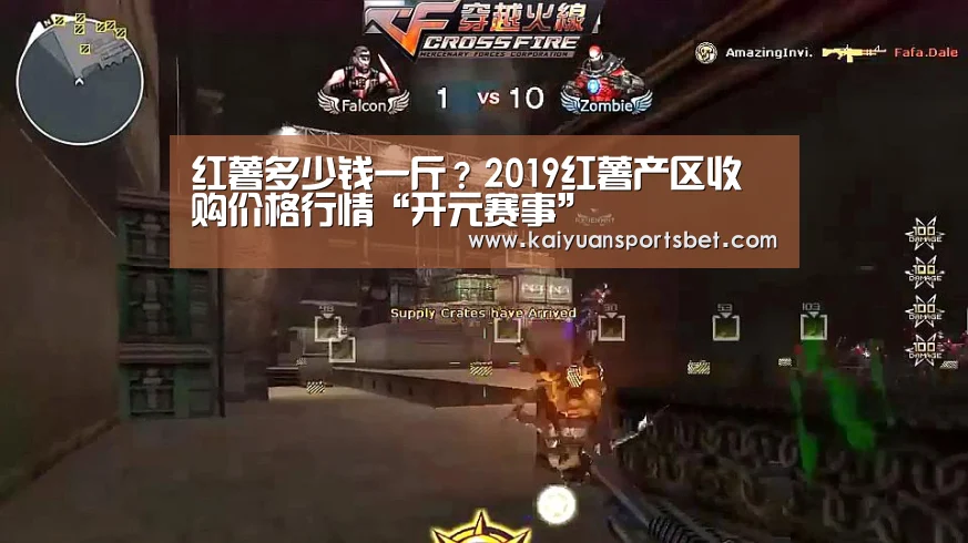 红薯多少钱一斤?2019红薯产区收购价格行情“开元赛事”(图1) 开元赛事