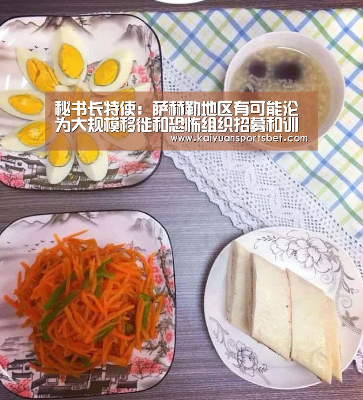 秘书长特使:萨赫勒地区有可能沦为大规模移徙和恐怖组织招募和训练人员的中心【开元体育】(图4) 开元APP