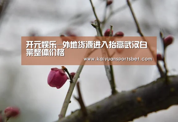 开元娱乐-外地货源进入抬高武汉白菜整体价格(图1) 开元体育