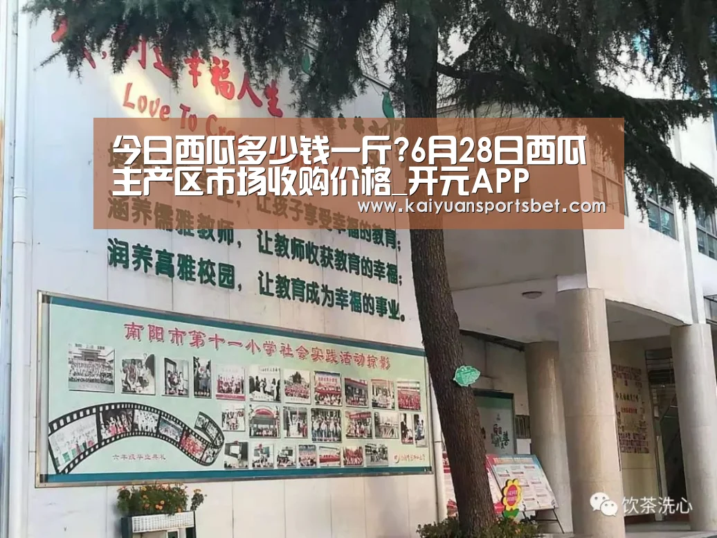 开元体育